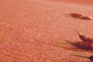 Struktur_Chili_582
