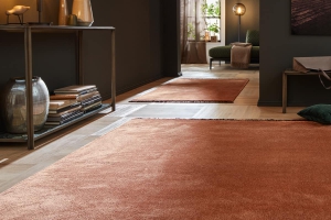 blog-jab-anstoetz-flooring-carpet-flooring-noblesse-twinkle