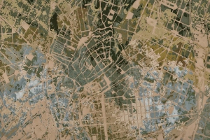 teaser-jab-anstoetz-flooring-urban-jungle-berlin-01
